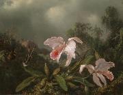 Martin Johnson Heade Jungle Orchids and Hummingbirds oil